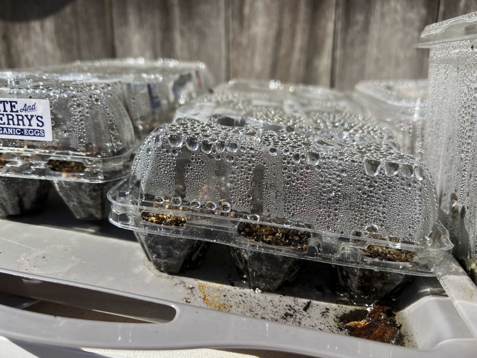 Gardening Winter Sowing
